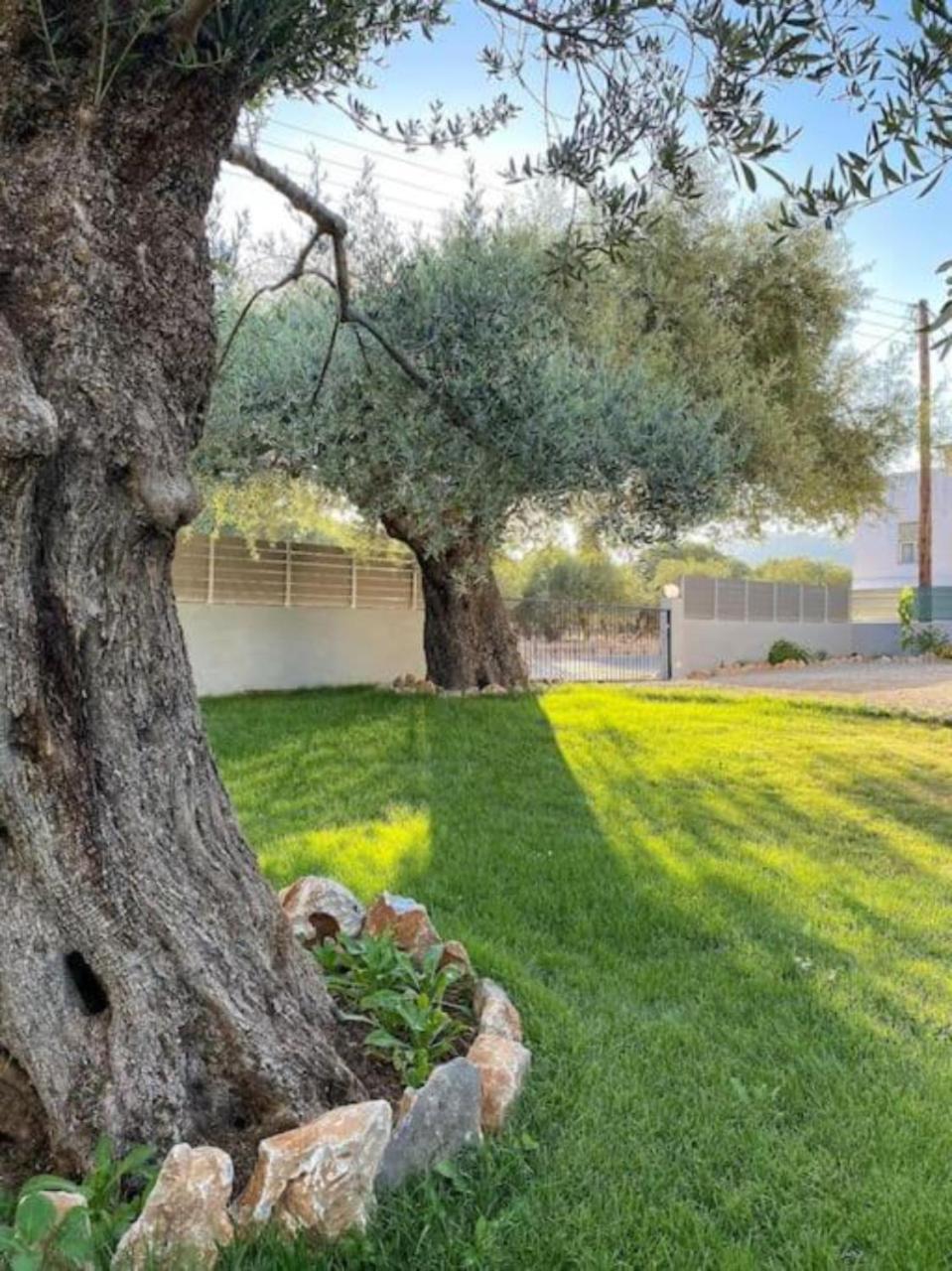 Olives Villa Sinoikismos Kambos エクステリア 写真
