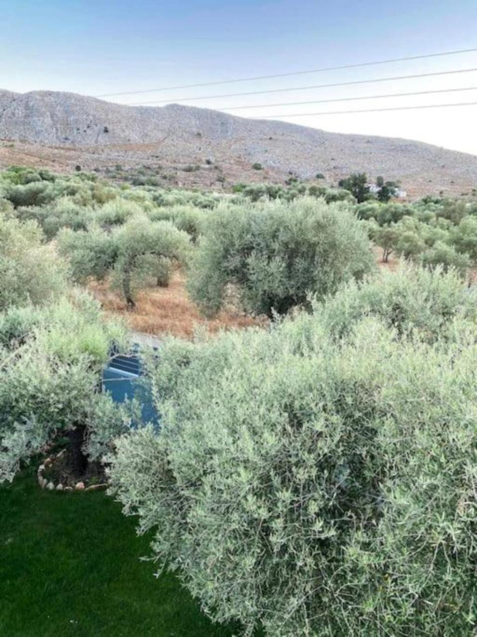 Olives Villa Sinoikismos Kambos エクステリア 写真